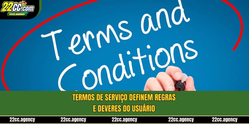 Define deveres do usuário e responsabilidades da plataforma